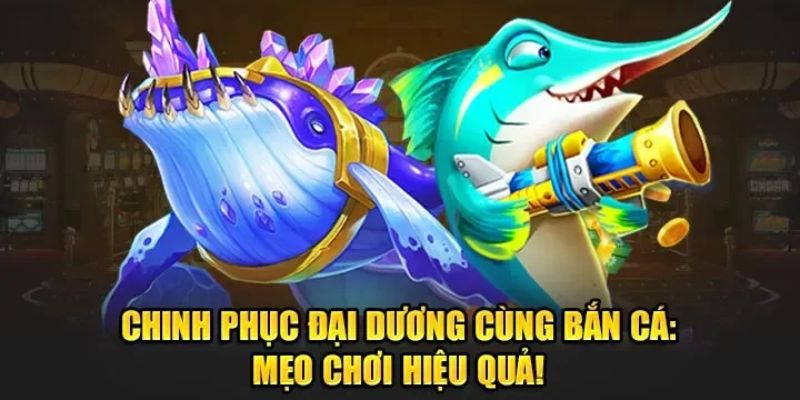 Sổ tay săn cá dễ rinh thưởng lớn